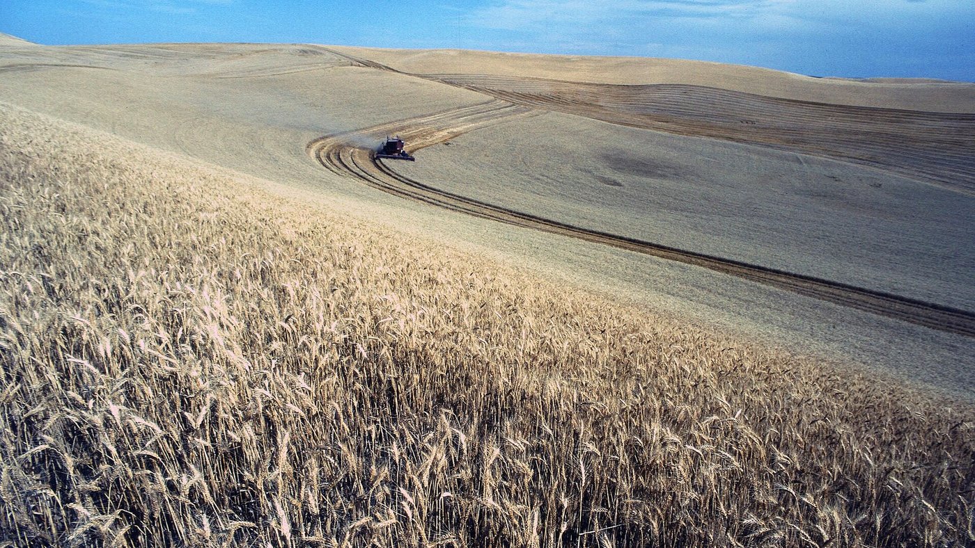 Agriculture